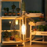 G380 Giant Size Filament Spherical LED Light Bulb E40 240V 6W W/W