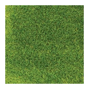 Close-up of green grass texture