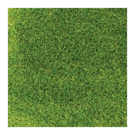 Close-up of green grass texture