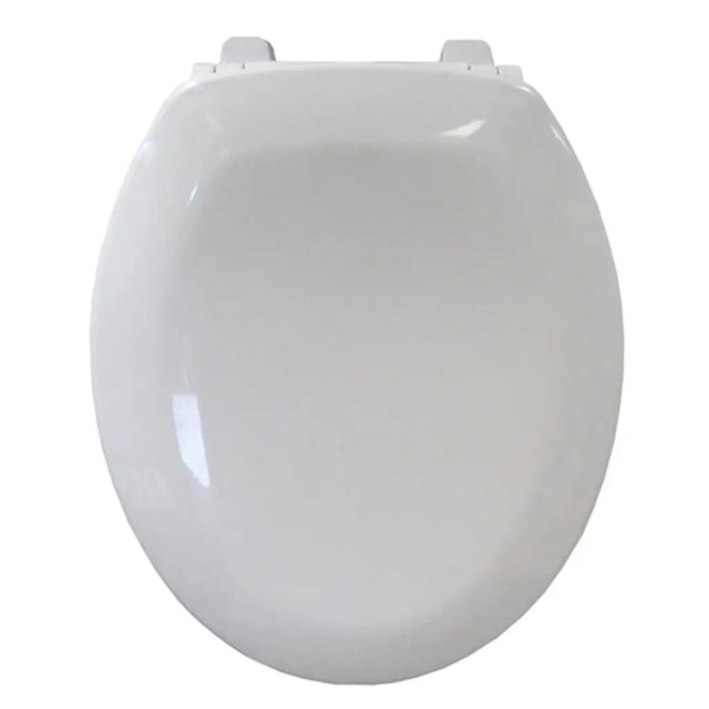 White toilet seat on a white background