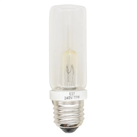 Clear light bulb with E27 base on a white background