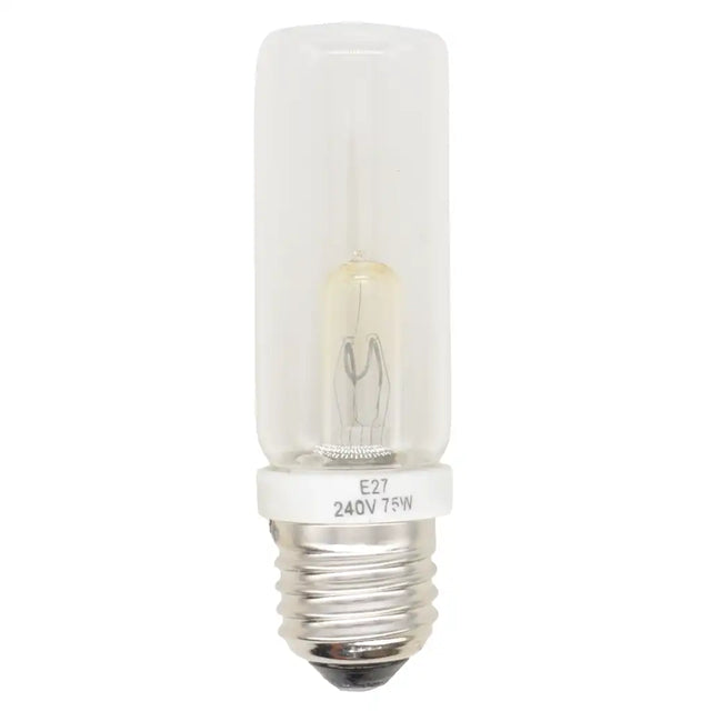 Clear light bulb with E27 base on a white background
