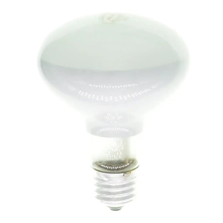 White light bulb on a white background