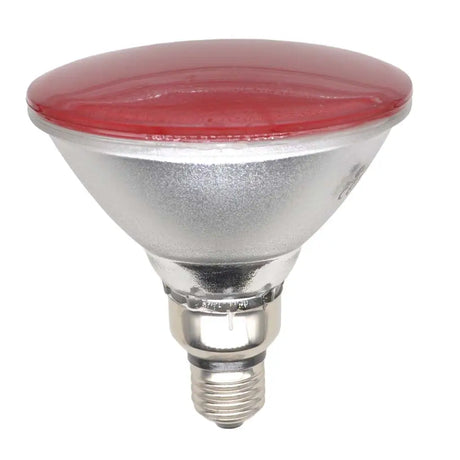 Red-reflector light bulb on a white background
