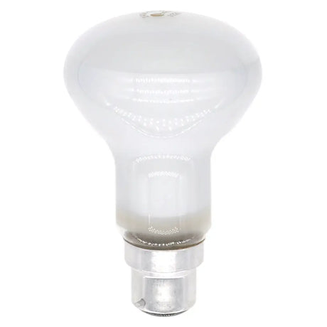 Light bulb on a white background