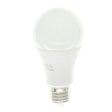 white light bulb on a white background