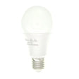 White LED light bulb on a white background