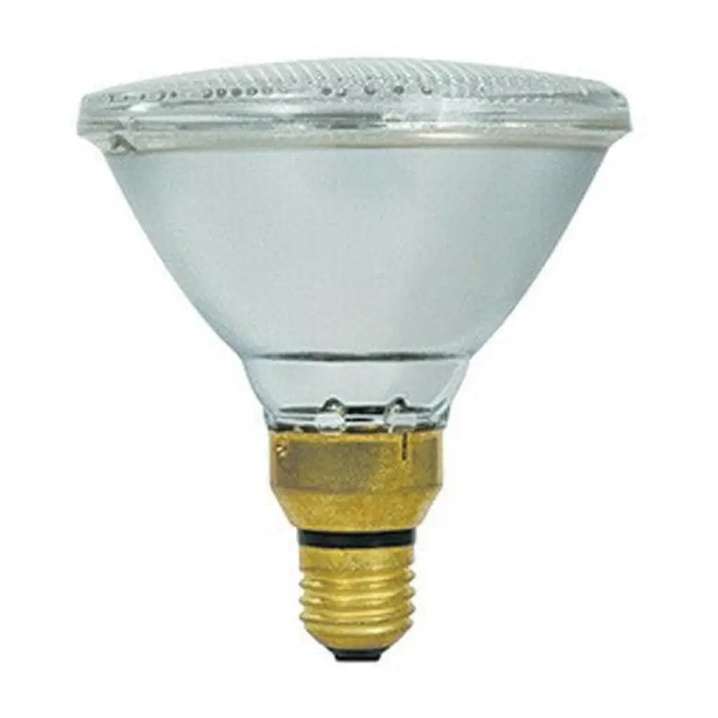 Clear PAR38 light bulb on a white background