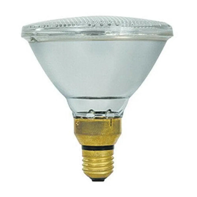 Clear PAR38 light bulb on a white background