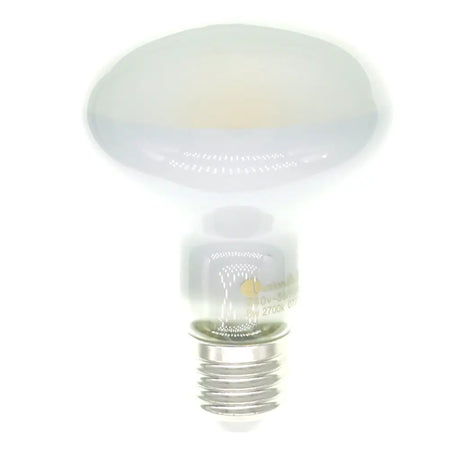 Light bulb on a white background