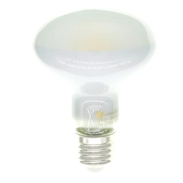 Light bulb on a white background