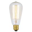 Clear light bulb with visible filament on a white background