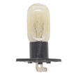 Vintage-style light bulb with a clear glass cover on a white background