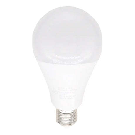 White LED light bulb on a white background
