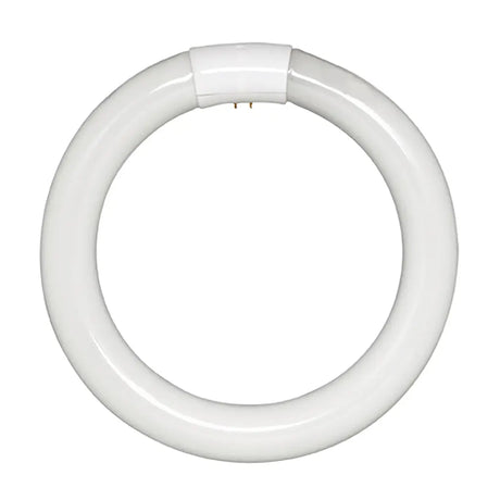 Circular white light bulb on a white background