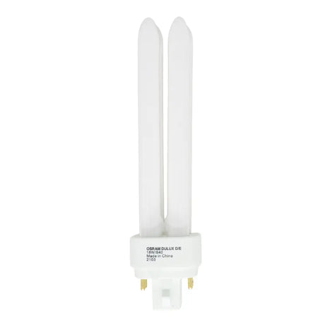 Compact fluorescent light bulb on a white background