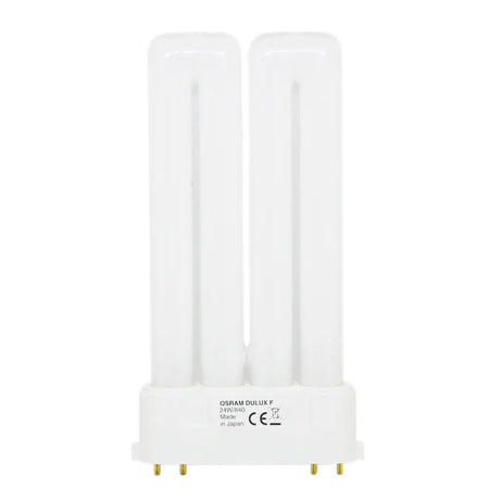 Compact fluorescent 2G10 light bulb on a white background