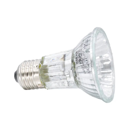 Clear halogen light bulb on a white background