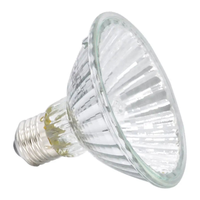 Clear halogen lamp bulb on a white background