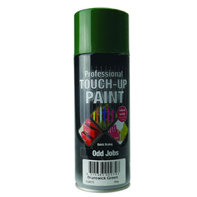 Green spray paint can labeled 'Professional Touch-Up Paint' on a white background