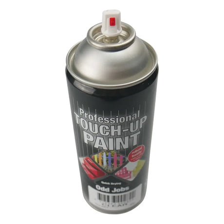 Spray paint can labeled 'Professional Touch-Up Paint' on a white background