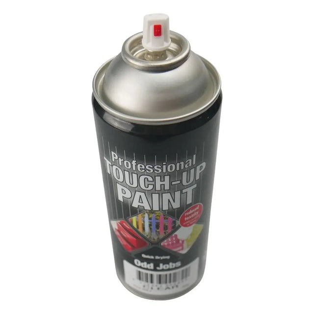 Spray paint can labeled 'Professional Touch-Up Paint' on a white background