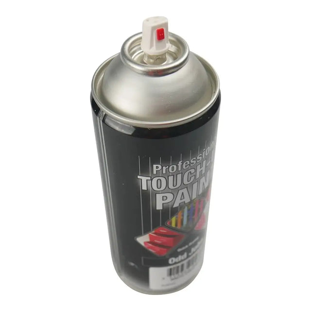 Spray paint can labeled 'Professional Touch Paint' on a white background