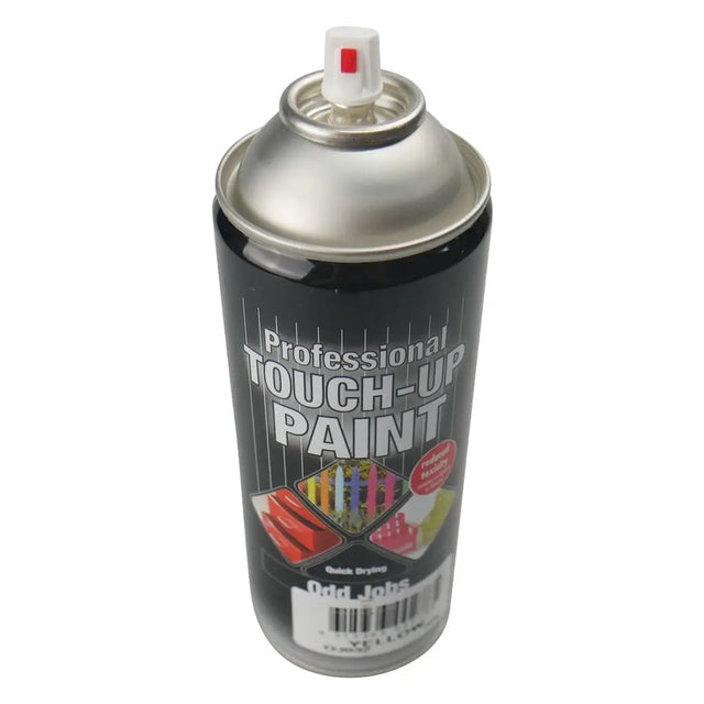 Spray paint can labeled 'Professional Touch-Up Paint' on a white background