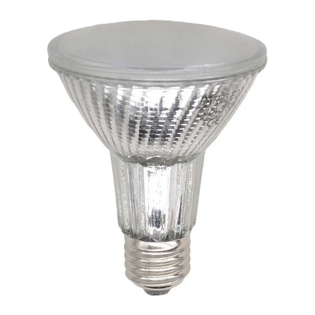 Halogen light bulb on a white background