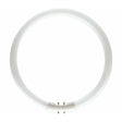 Circular fluorescent light bulb on a white background
