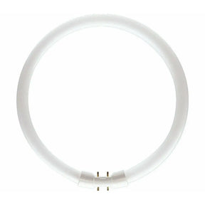 Circular fluorescent 2GX13 light bulb on a white background
