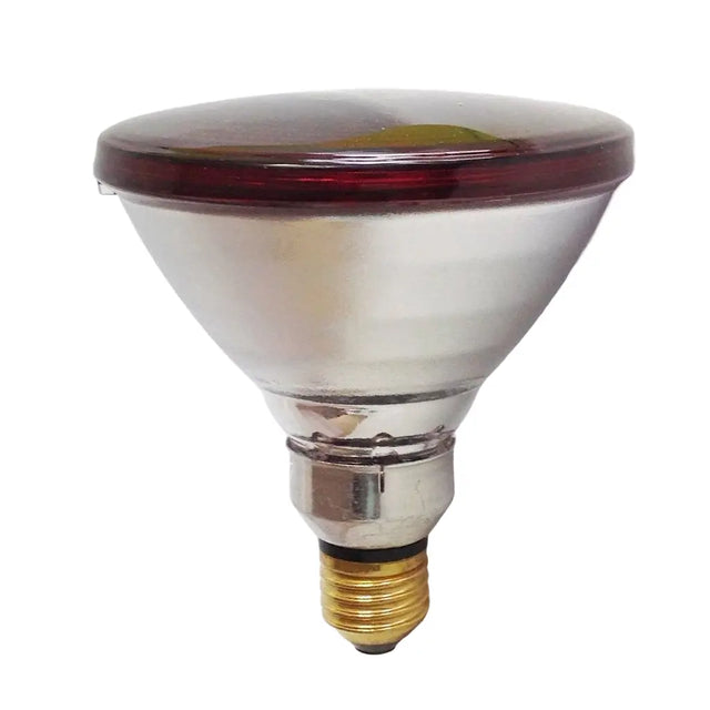 Parabolic reflector light bulb on a white background