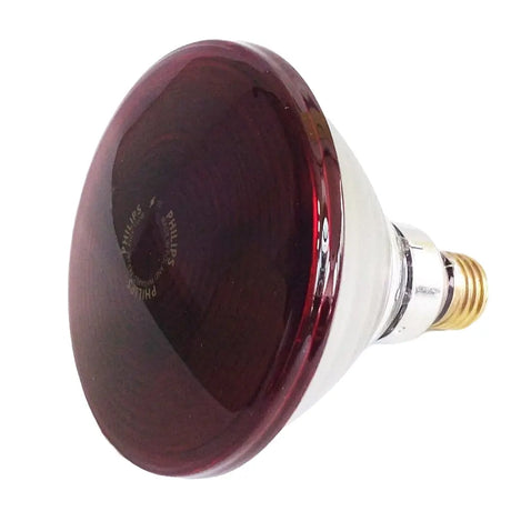 Red heat lamp bulb with Philips logo on a white background