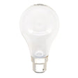 frost light bulb on a white background