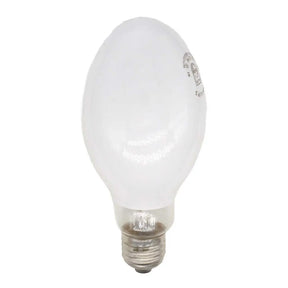 white light bulb on a white background