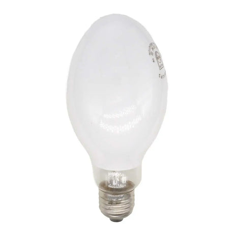 white light bulb on a white background