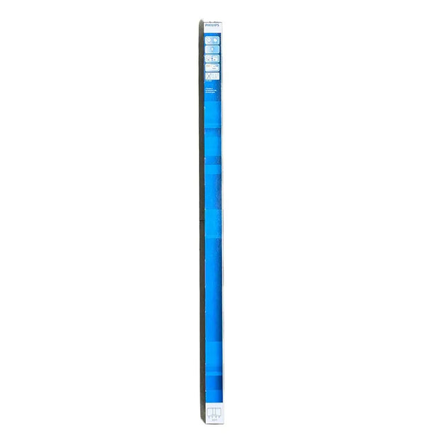 Tall rectangular device with blue gradient on a white background