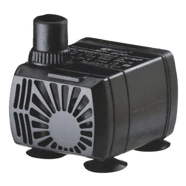 Black pump on a white background
