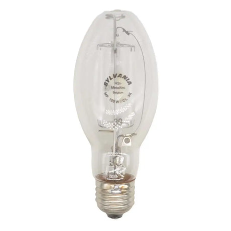 Clear light bulb with visible branding on a white background