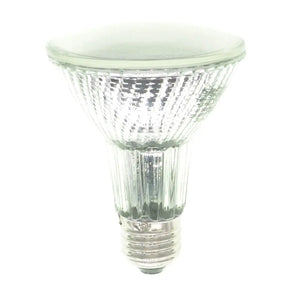 Clear PAR38 light bulb on a white background