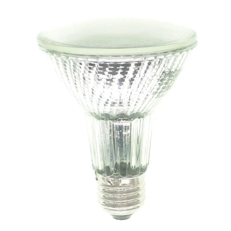 Clear PAR38 light bulb on a white background