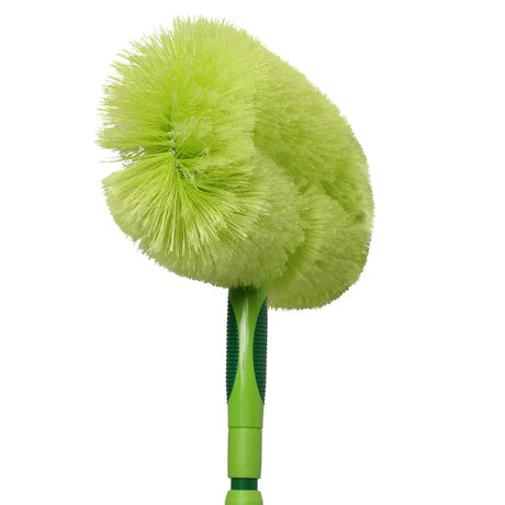 Green feather duster on a white background
