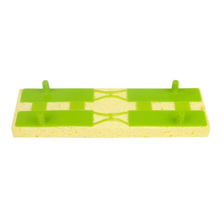 Green and beige sponge with a checkered pattern on a white background