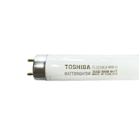 Toshiba fluorescent light bulb on a white background