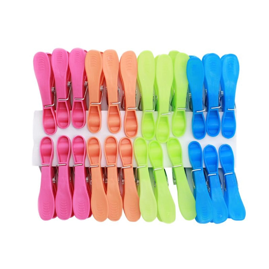 Turtle Plastic Cloth Pegs 24Pcs 4099