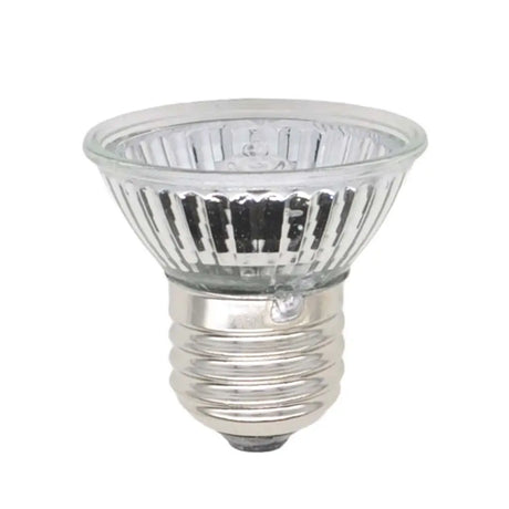 Halogen light bulb on a white background