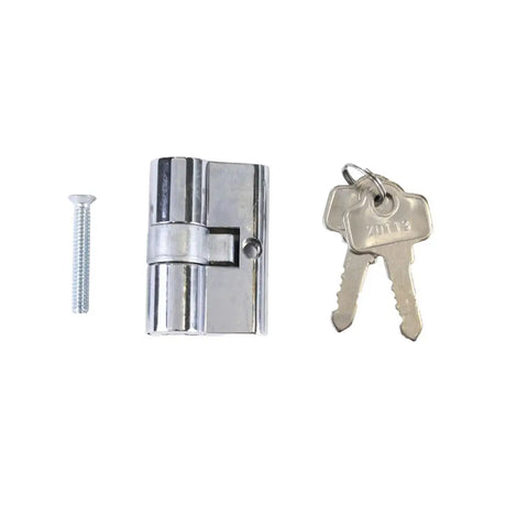 Silver lock cylinder with two keys on a white background