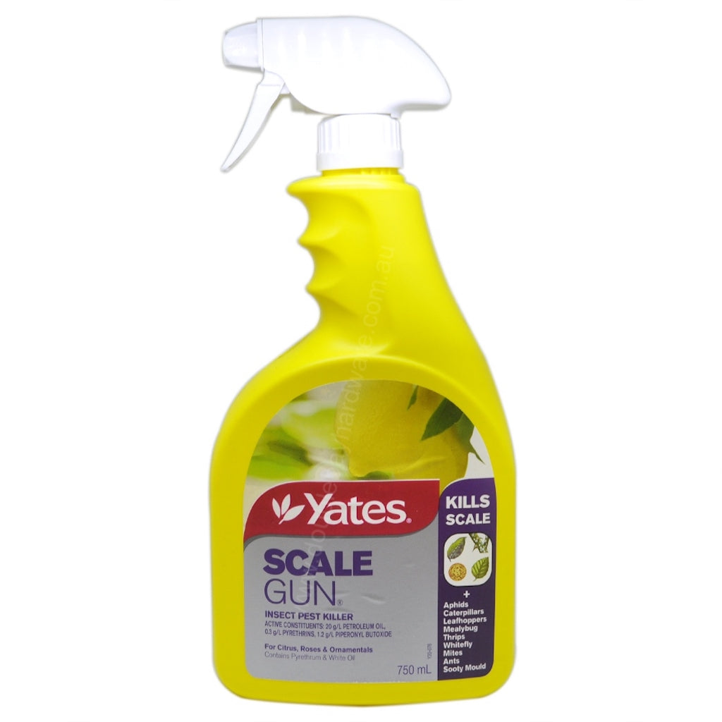 Yates Scale Gun Insect Pest Killer 750ml For Aphids,Caterpillars,Leafhopper etc.