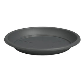 Black plastic saucer on a white background