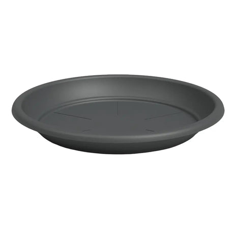 Black plastic saucer on a white background